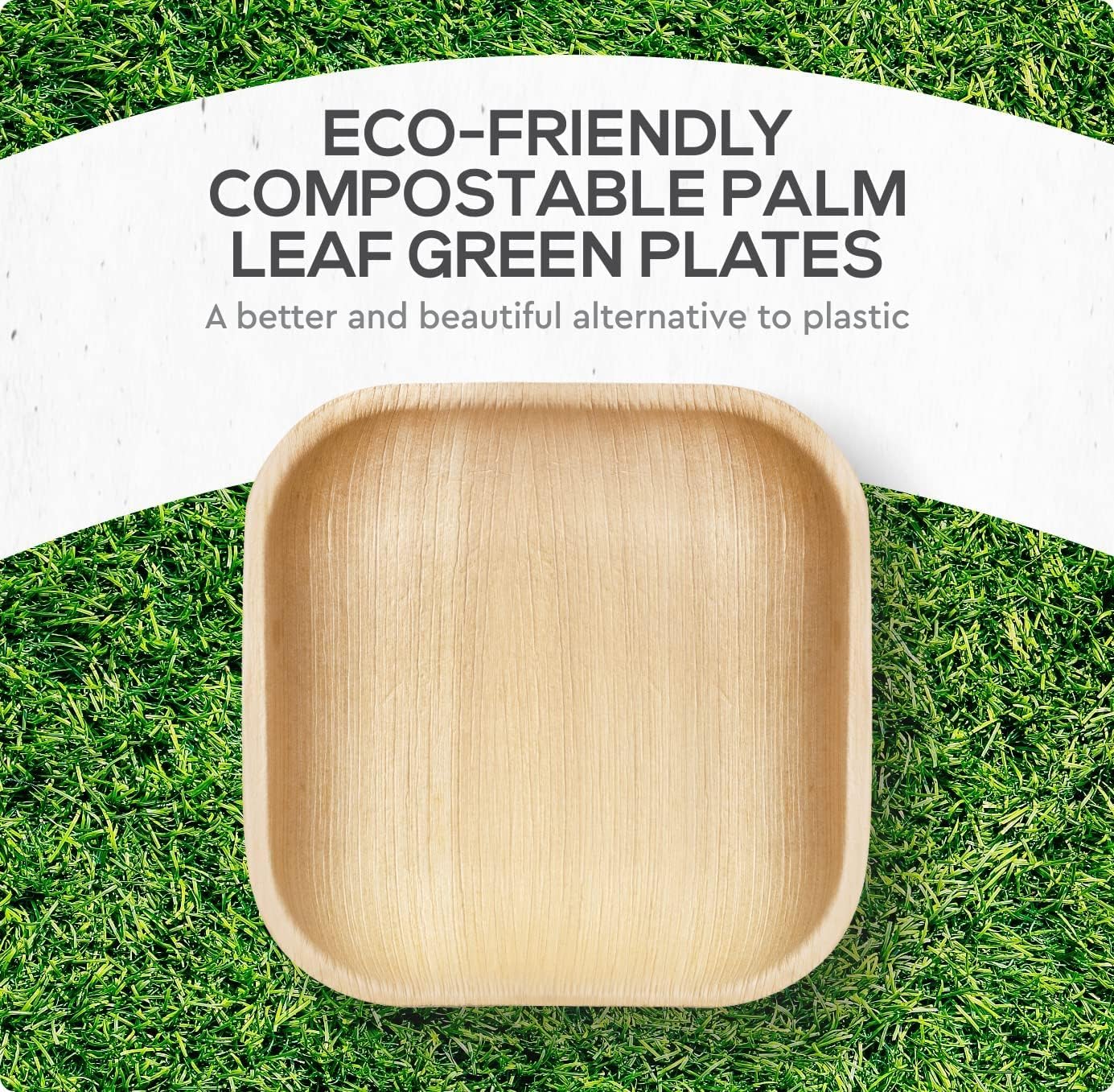 Palm Leaf Bamboo Square Appetizer Plates 100%  Compostable Disposable  (4 Inch 100 Plates)