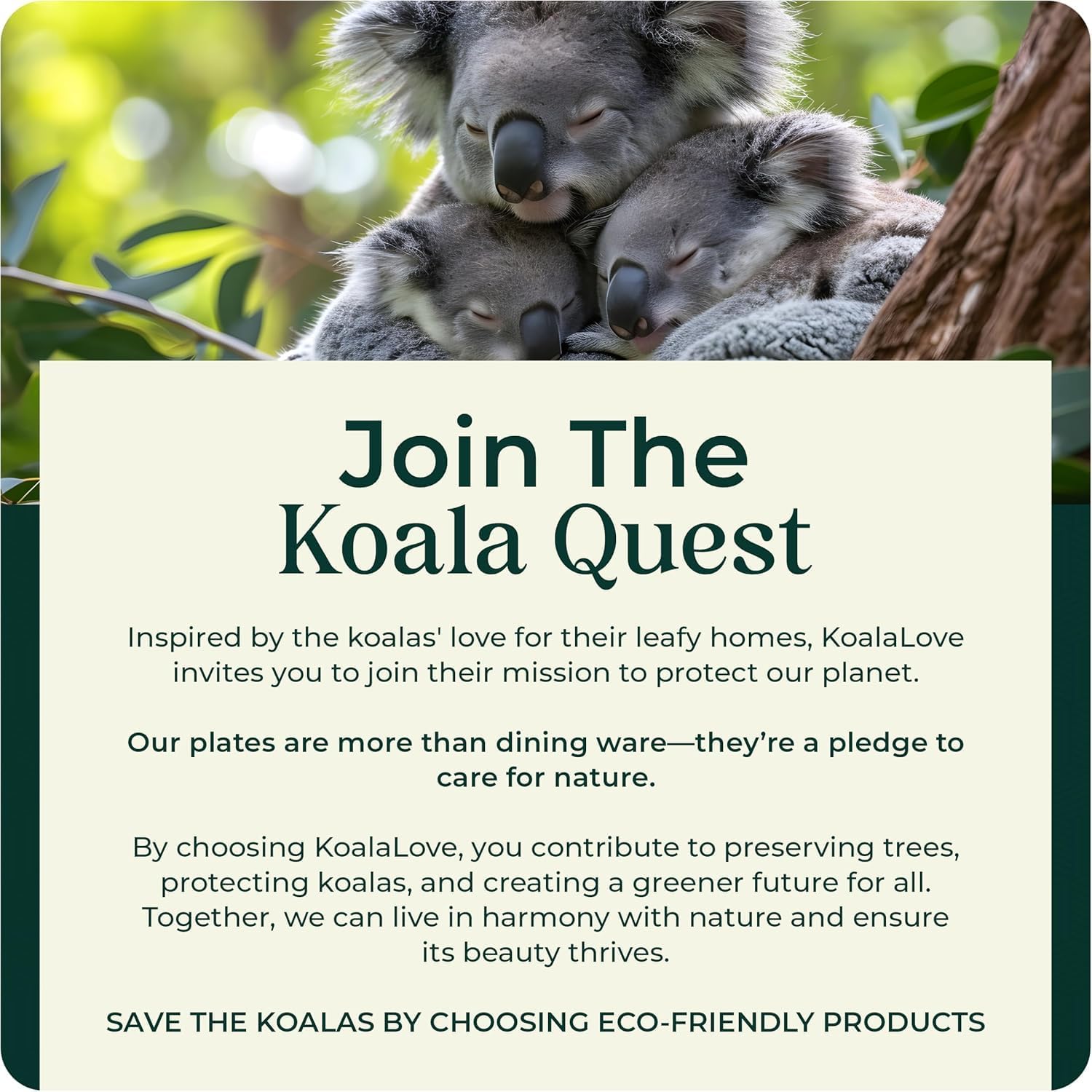 Palm Leaf  Bamboo Square Paper Plates 100% Compostable Disposable   (10 Inch & 7 Inch 50 Plates)