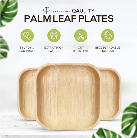 Palm Leaf  Bamboo Square Paper Plates 100% Compostable Disposable   (10 Inch 50 Plates)